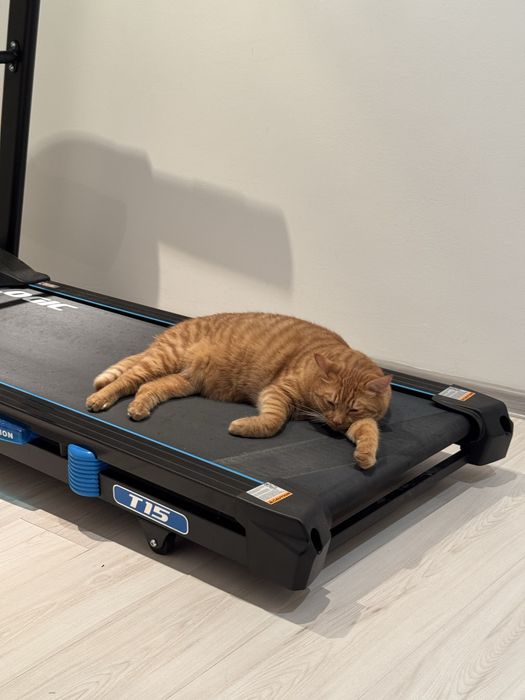 Бігова доріжка Fitlogic t15 тільки самовивіз.