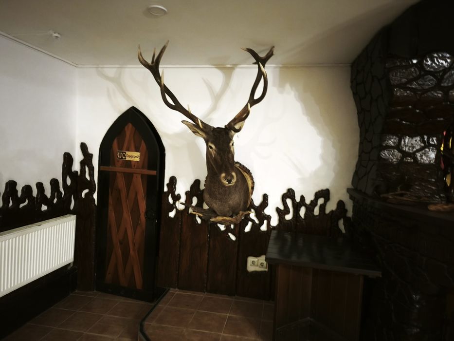 Оренда кафе з всім оборудованням.