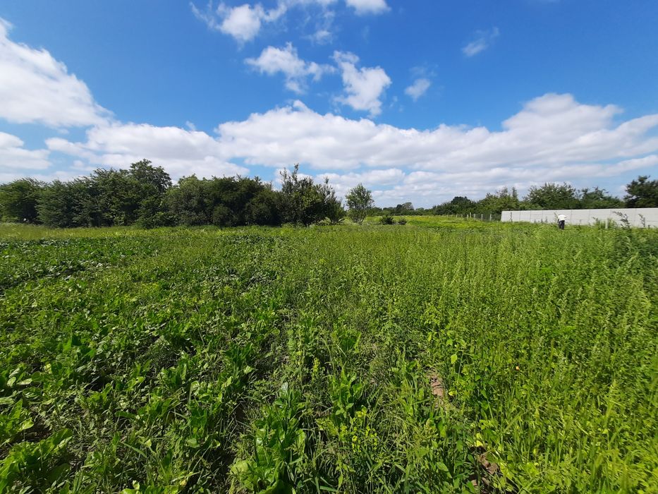 Продам участок 15с.під забудову,Супрунівка,район Кулиничив