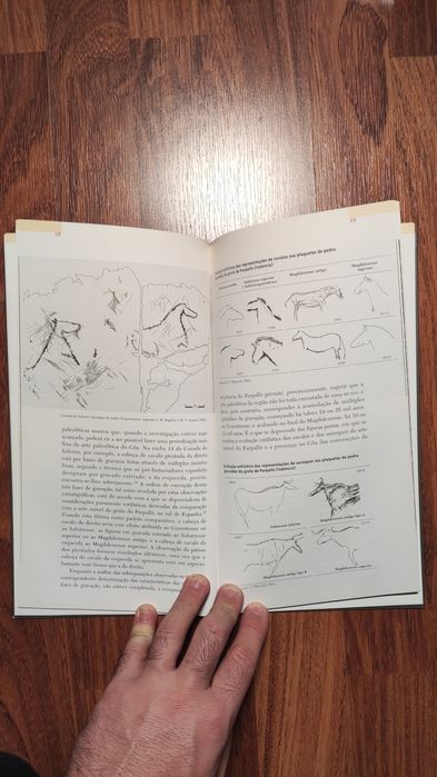 "O Vale do Côa: Arte Rupestre e Pré-História"