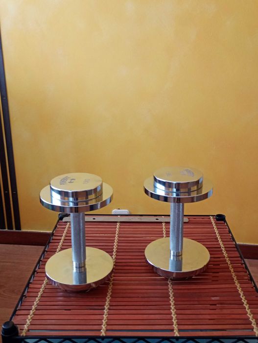 Halterne 2kg bom para desporto e iniciantes