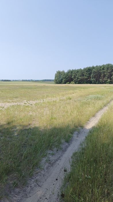 Sprzedam Gospodarstwo