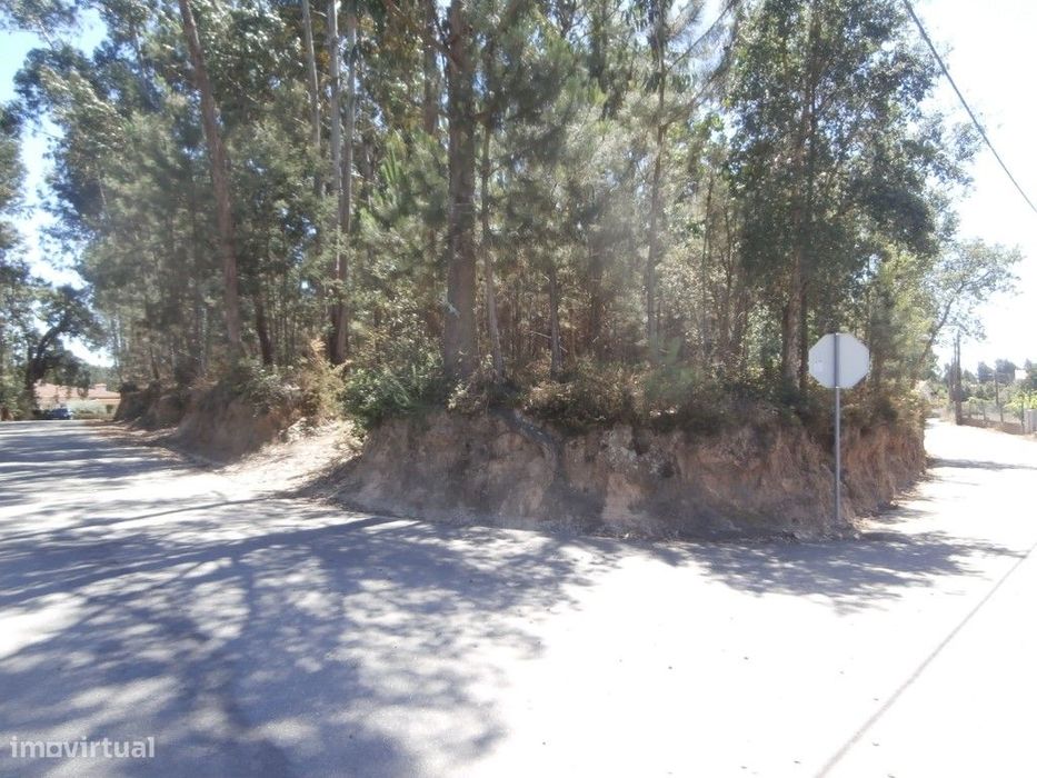 Terreno a Eucaliptal em Paradela (venda judicial - verba n.º 9) — Recardães E Espinhel, Aveiro