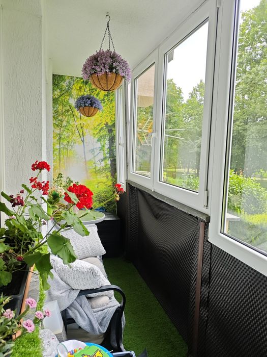 3 pokojowe Mieszkanie osiedle Tysiąclecia