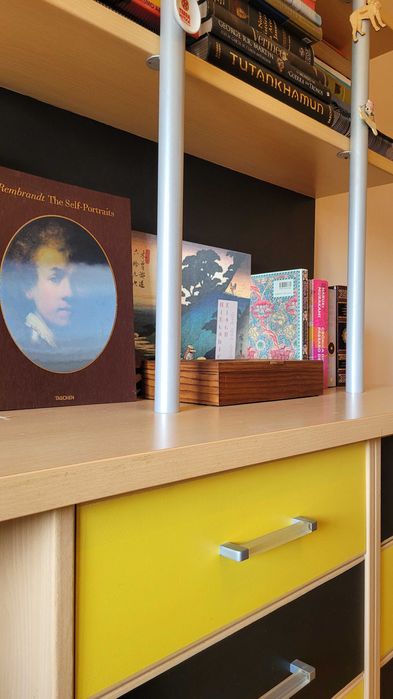 Estante e Secretária 2 em 1 para Quarto ou Escritório