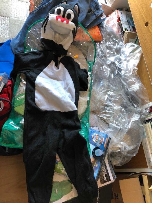 Fato de carnaval de Gatinho (2 anos)