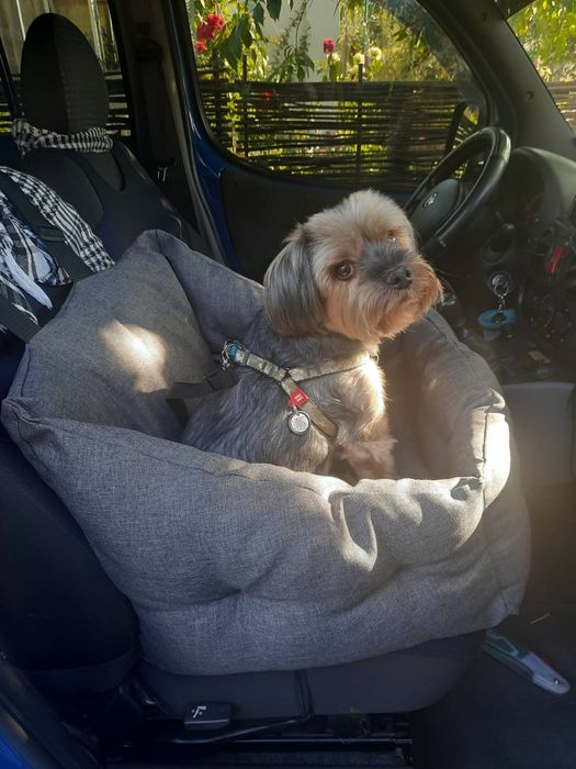 Автогамак/ автокрісло. Колір "Графіт"