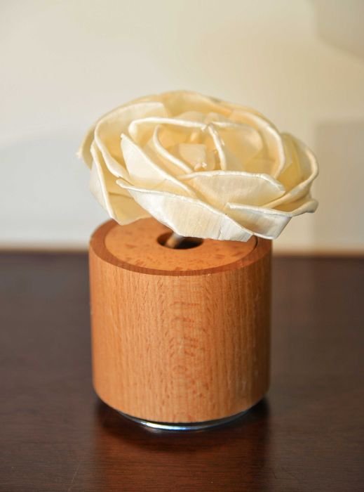 Difusor de aroma para casa - Caixa música - perfumador óleo aromático