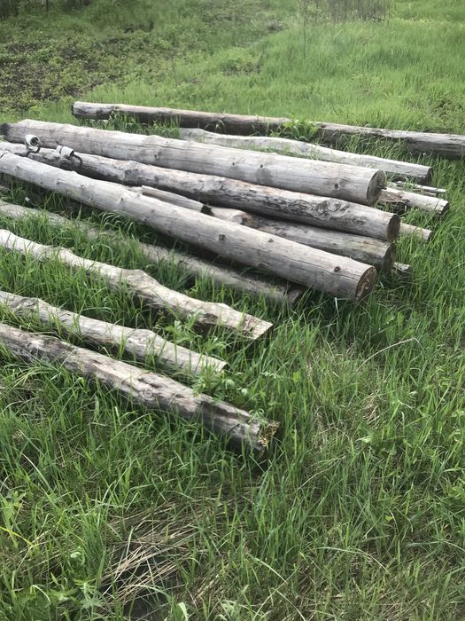 Продам дрова  разных  сортов!