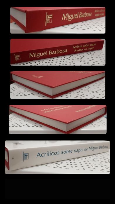livro de arte: "Acrílicos sobre papel de Miguel Barbosa"