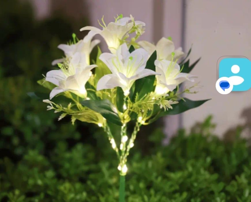 Lilia solarna wodoporna