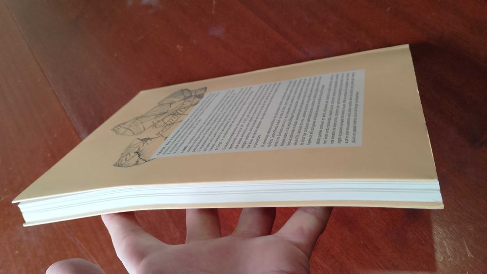 Arqueohistórica Comum de Portugal e Moçambique