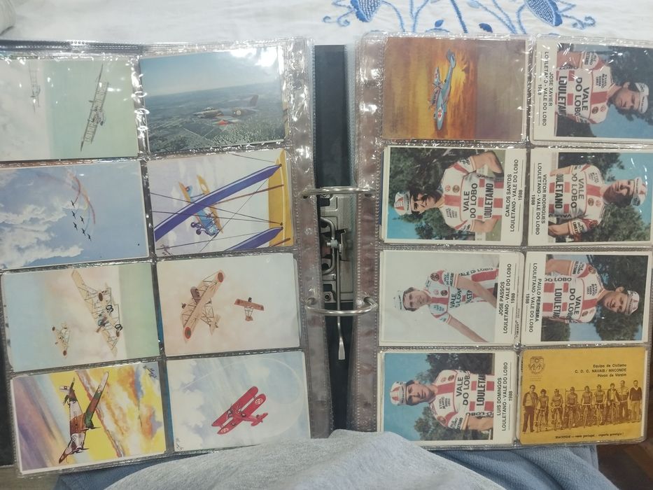 Coleção de calendários de bolso