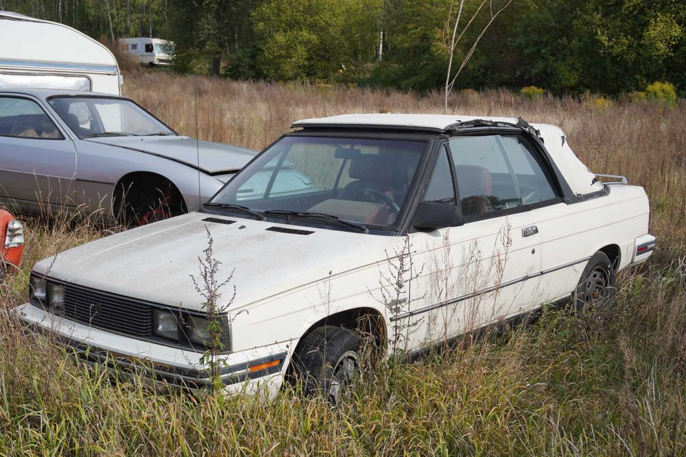 Renault Pozostałe Renault