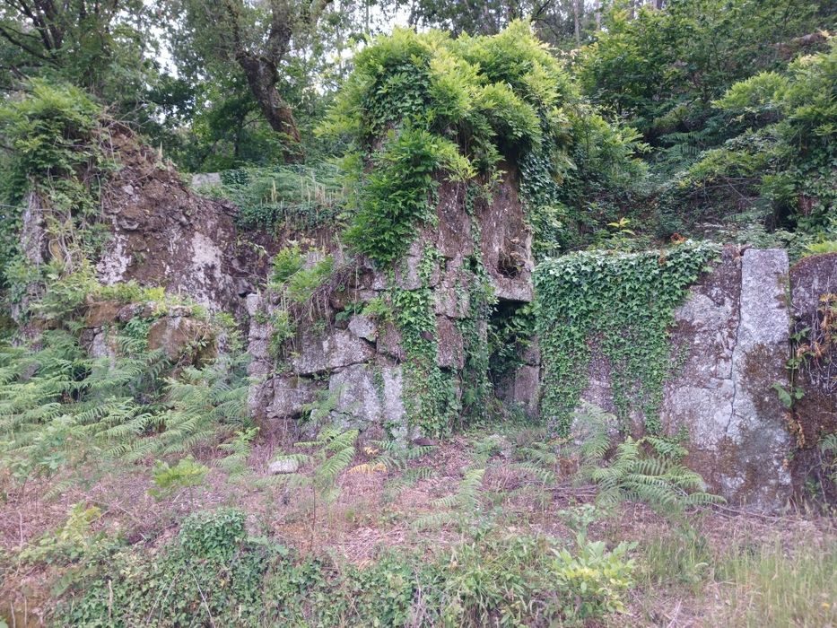Vendo terreno com ruina para construir.