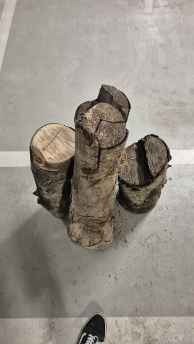 Drewno orzech – 4 pieńki ok. 60 cm suche