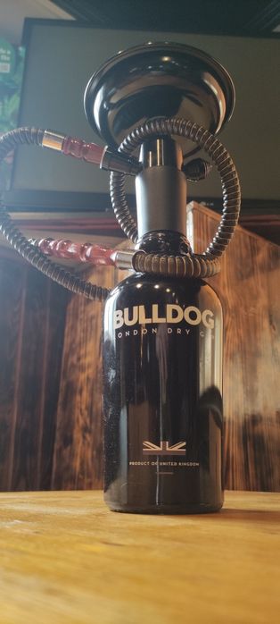 Shisha hookah Bulldog