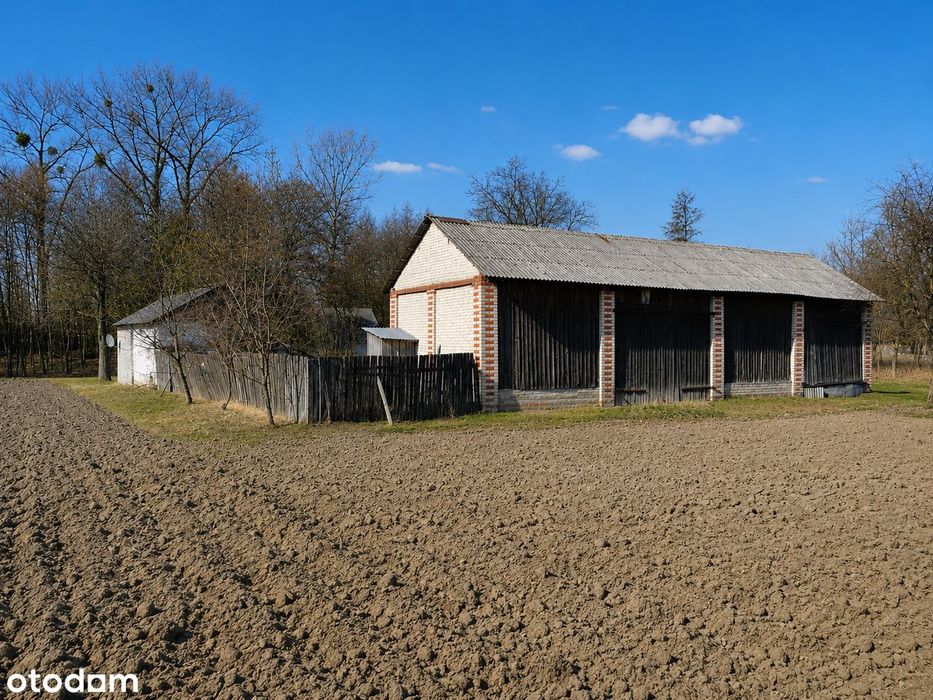 Siedlisko z potencjałem – działka 3835 m² | Chmielnik, gm. Bełżyce - Widok 2