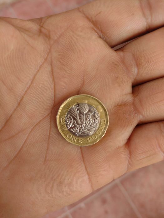 Moeda one Pound Elizabeth II