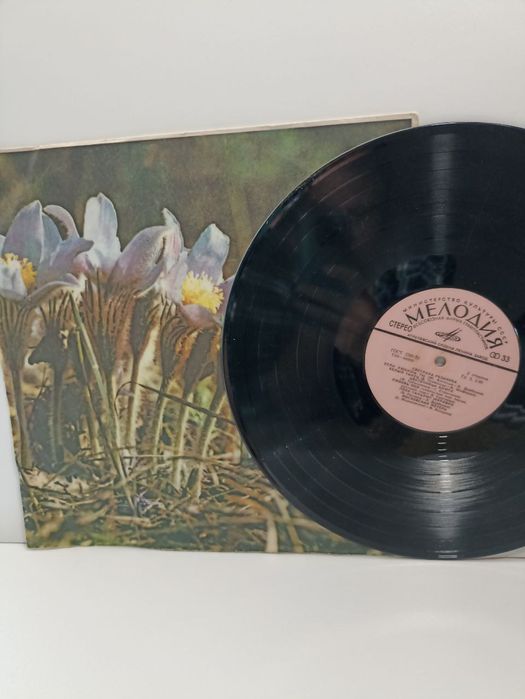 Платівка вініл (виниловая пластинка)