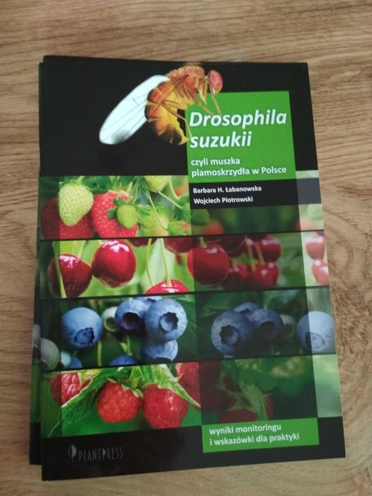 Drosophila suzukii muszka plamkoskrzydla Książka