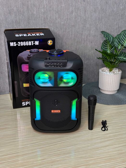 Bluetooth колонка MS-2065BT-W 25Вт с микрофоном и караоке, поддержка USB, SD, FM и Bluetooth. Портативная аккумуляторная колонка с