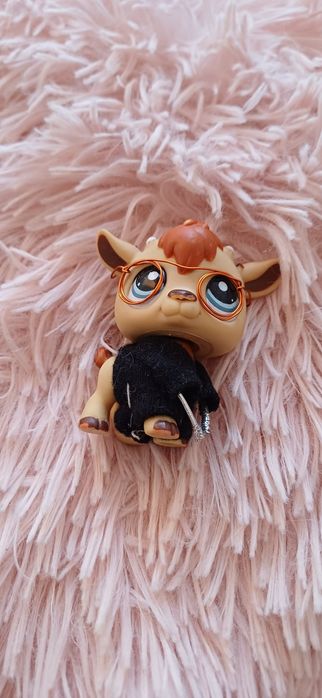 Littlest pet shop