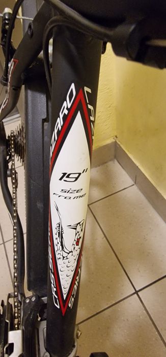 Rower lazzaro rozwoju. 19