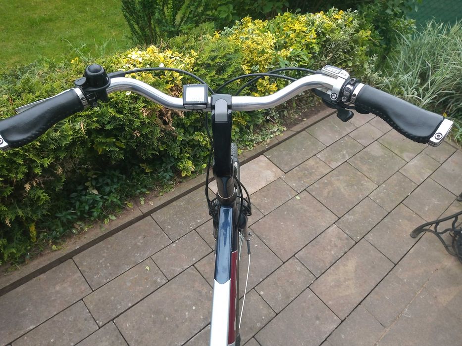 rower męski Multicycle  Elegance