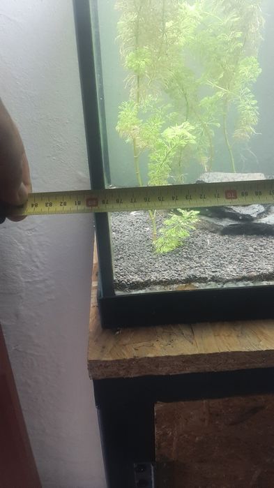 Aquario peixes  EHEIM