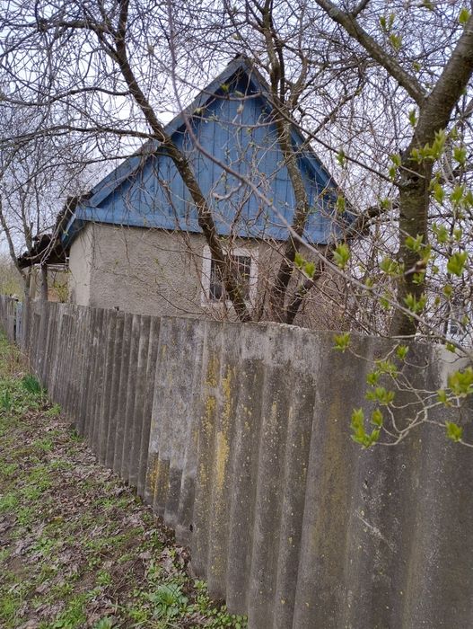 Продам дачу в кооперативі Олдиш