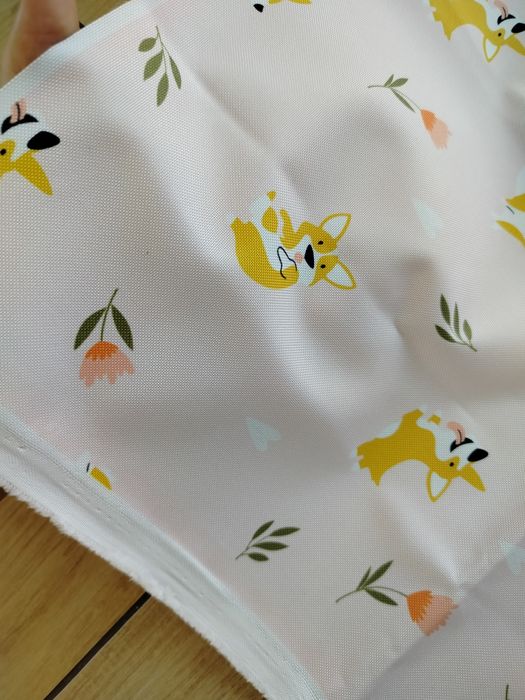 Obrus piknikowy w pieski