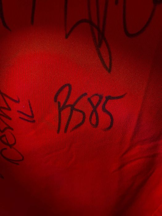 Camisola Oficial Benfica 2015/2016 Autografada (Jogador Pipo)
