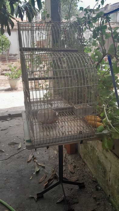 gaiola para pássaros
