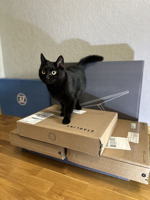 Супутникова антена старлінк gen3  Тариф на вибір