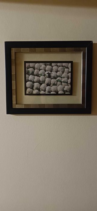 Bonitos QUADROS de diversos temas