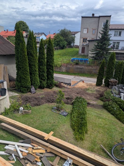 Tuje około  3m zestaw 4szt.