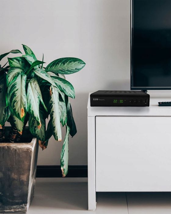 Tuner Dvb-T Cgv + Pilot