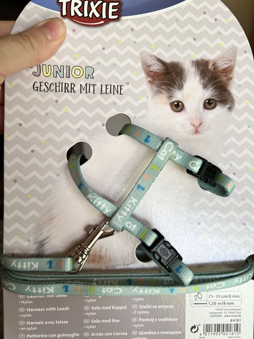 Поводок и шлейка для котенка