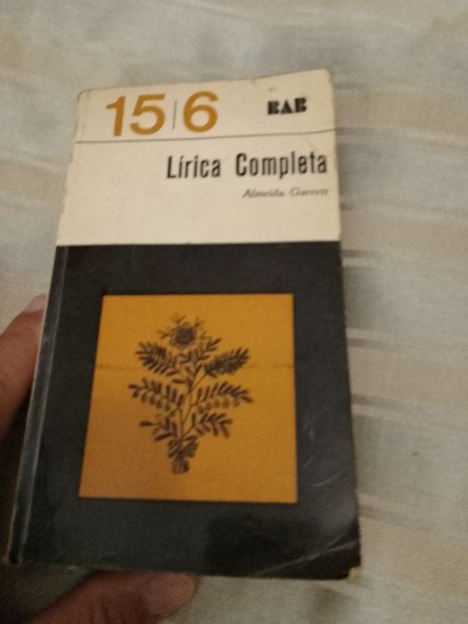 Açores Peservar-1 edicao15E-Baleias e Golfinhos-Sequeira/Fa.8E Desde2E
