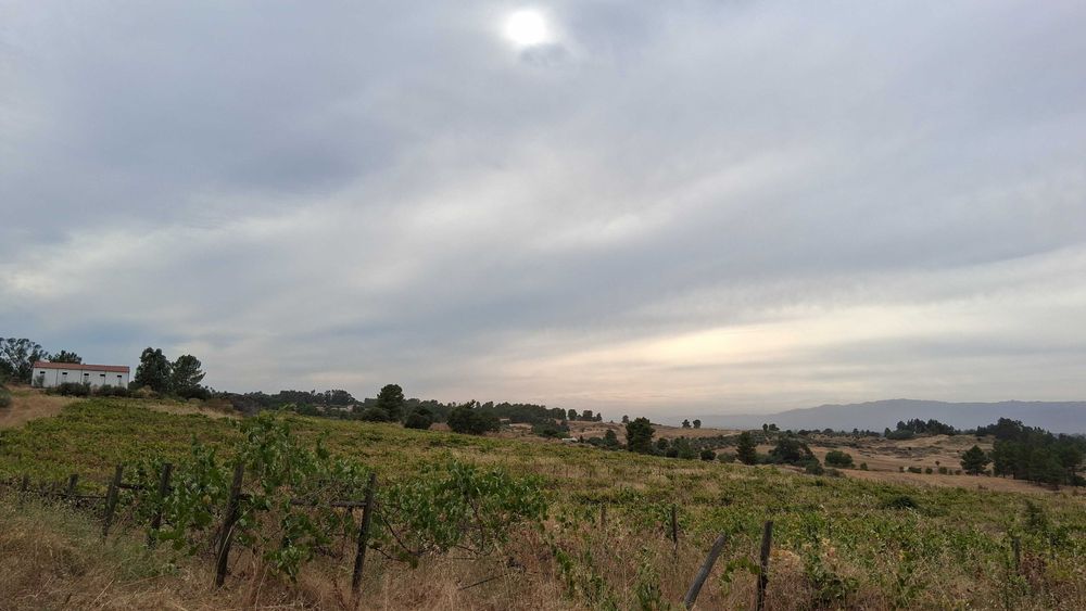 Terreno em São Miguel De Acha