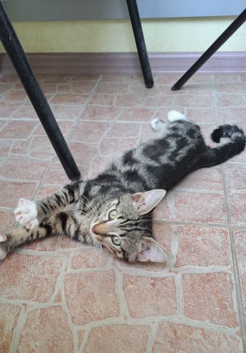 Красивий нарядний малюк 3, 5 міс