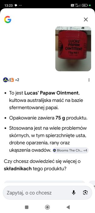 Lucas'Papaw Ointment maść australijska.