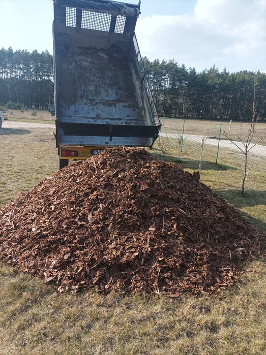 Kora Sosnowa 170 zł m3