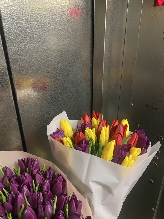 Тюльпан 35 грн, есть опт.