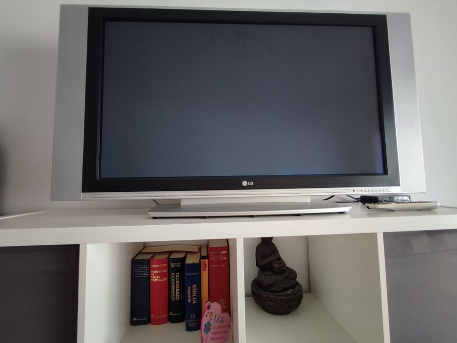Vendo TV LG Plasma