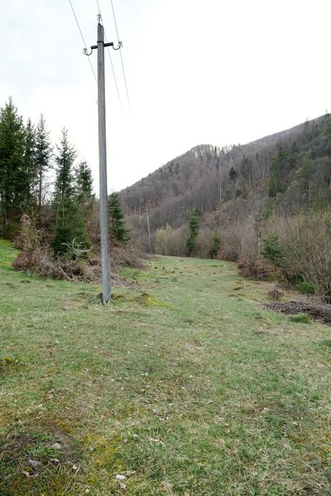 Продаж земельної ділянки в горах Закарпаття