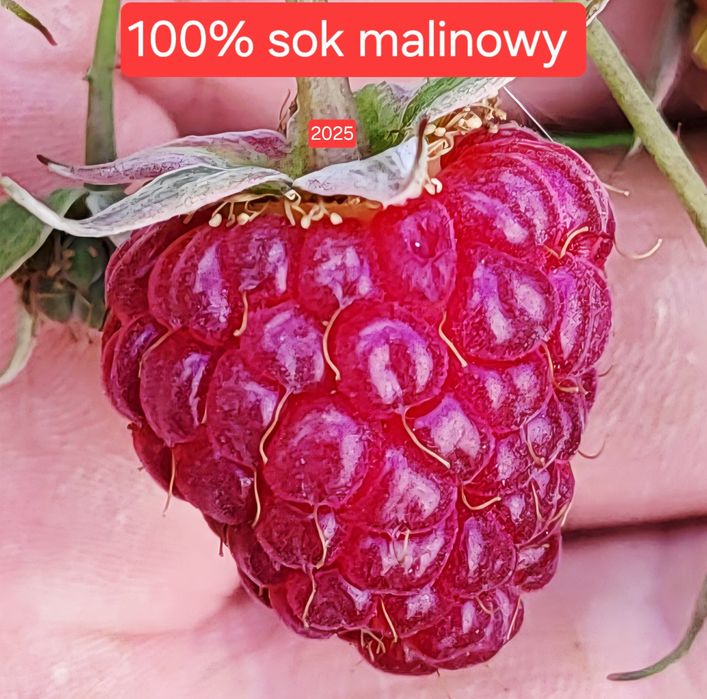 100% Domowy Sok Malinowy 2025