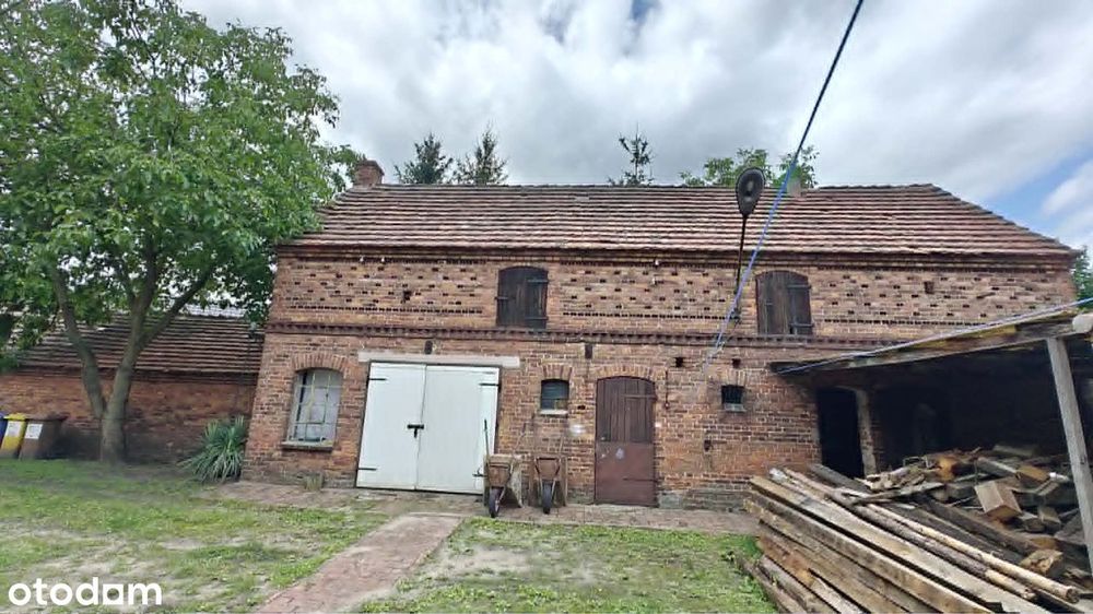 Zdjęcie 3