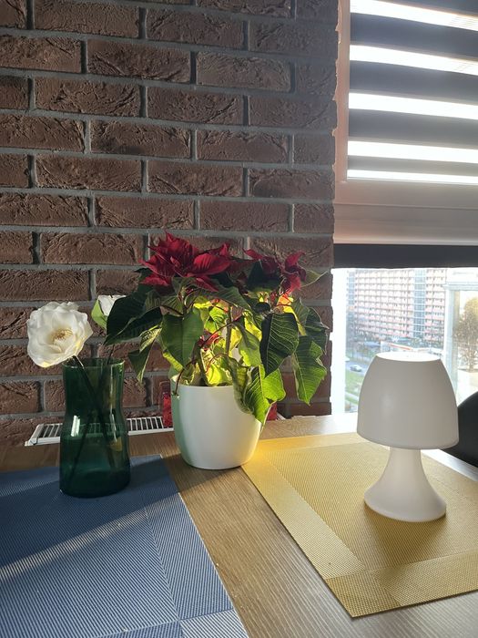 Apartament - 2 pokoje plus salon z aneksem. Gdańsk Przymorze